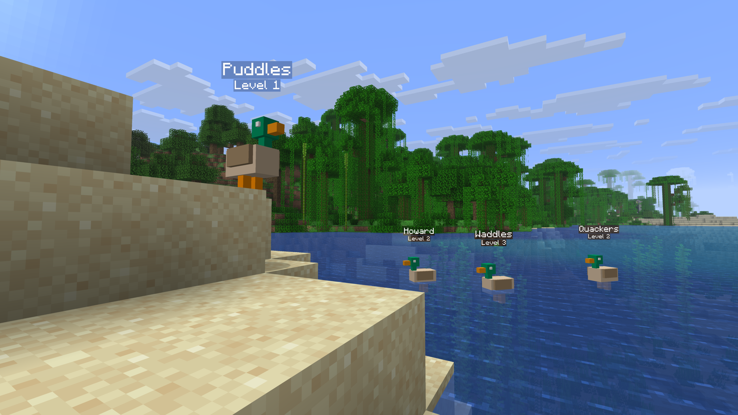 Ducks gathered at a pond